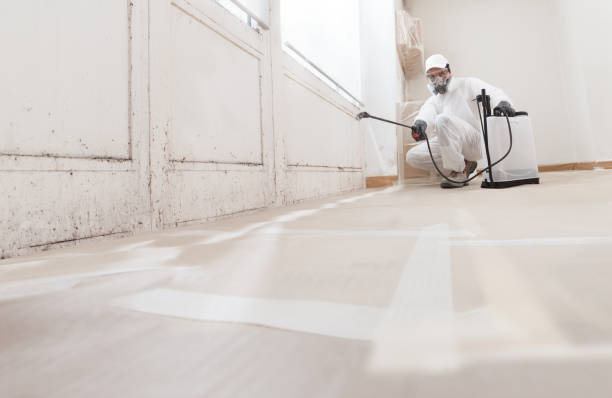 24/7 Emergency Attic Mold Remediation experts in Lansdale, PA